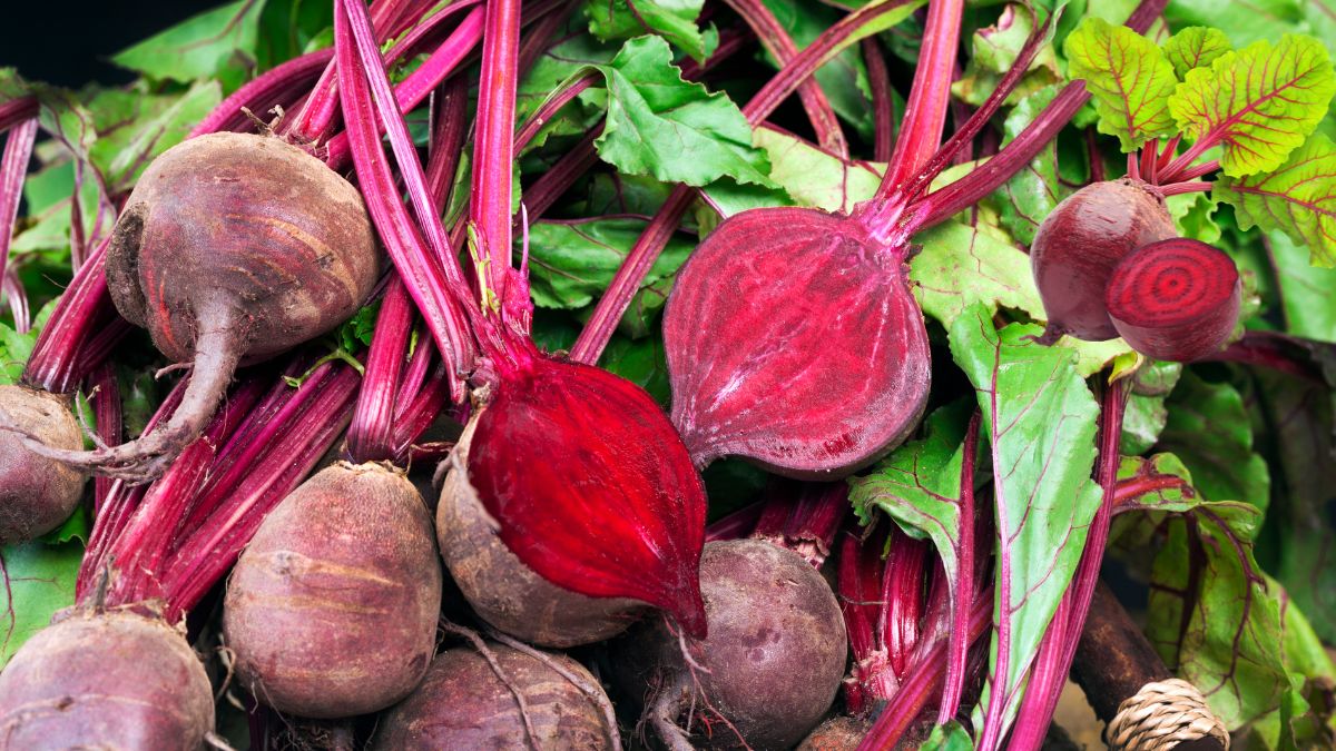 क्या Anaemia में Chukundar खाने से सच में बढ़ता है Hemoglobin? जानें सच्चाई